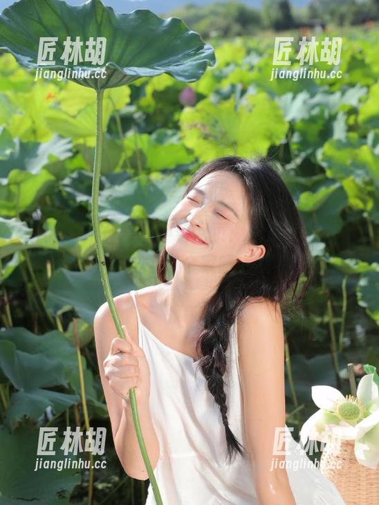 黑哥冲料网页：吃瓜太尽兴，别忘了有个家哦，嘿