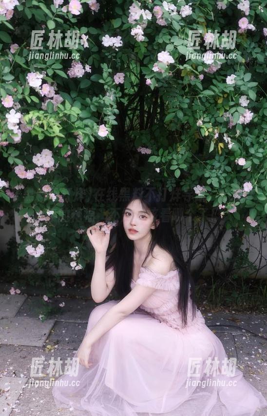 在线黑料不打烊导航：2025年的艳福，不知道该看哪个了！