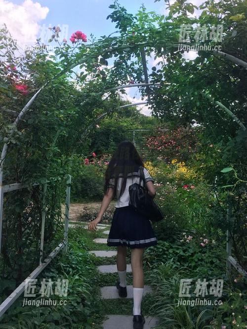 这条线路你看过吗？黑料老司机的后台真叫人冒汗！